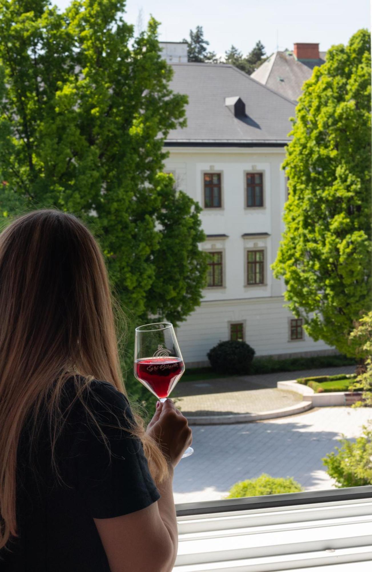 Suzy Apartman Eger Exterior foto